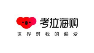 公司简介-兰剑智能